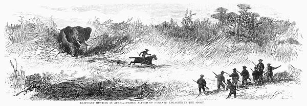 AFRICA: HUNTING, 1867. Elephant Hunting in Africa - Prince Alfred of England Engaging