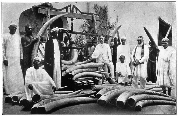 AFRICA: IVORY TRADE, c1900. Ivory being weighed, probably at Mombasa, Kenya, before