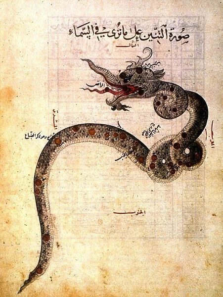 ASTRONOMY: ARABIC MS. Constellation Draco from as-Sufis Treatise on the Fixed Stars, 1437 A. D