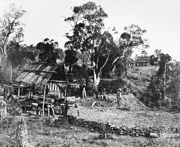 AUSTRALIA: GOLD MINE. Mine shafts in the bush near Carcoar, New South Wales, Australia