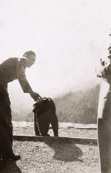 BEAR CUB, c1942. Man petting a bear cub, possibly at Great Smoky Mountains National Park