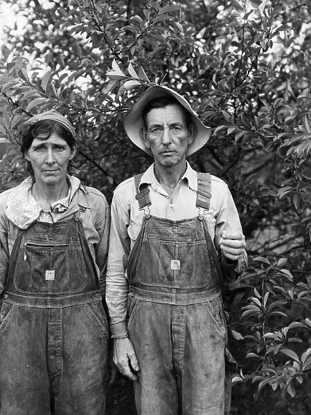 BERRY PICKERS, 1940. Berry Pickers from Arkansas working in Berrien County, Michigan