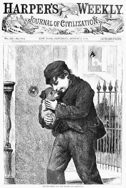 BOY AND DOG, 1868. Rescued from the dog pound. Engraving from Harpers Weekly