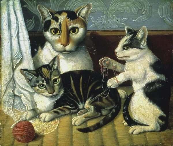 CAT & KITTENS. Oil on board. American, 19th century, anonymous