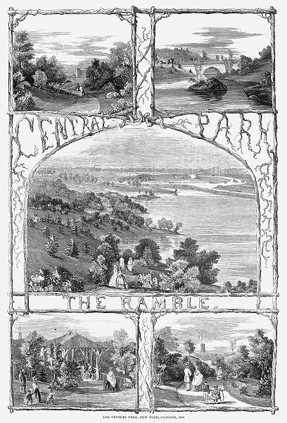 CENTRAL PARK: RAMBLE, 1860. Scenes from the Ramble and other areas of the not yet completed Central Park in New York. Wood engraving, American, 1860