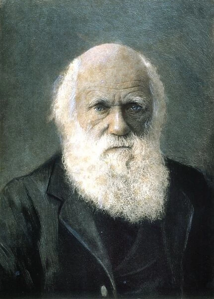 CHARLES ROBERT DARWIN (1809-1882). Oil over a photograph