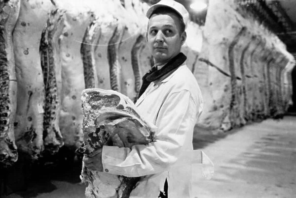 CHICAGO: MEATPACKING, 1949. A butcher holding a slab of beef in a meat locker, in Chicago