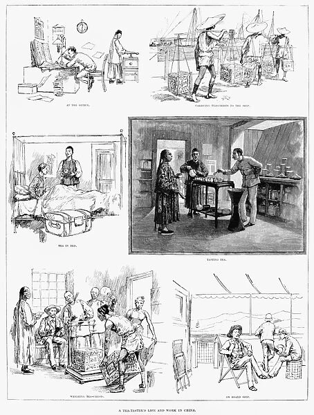 CHINA: TEA TASTER, 1888. A Tea-Tasters Life and Work in China. Wood engraving