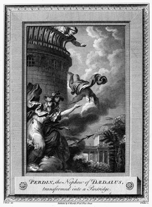Framed Print : Daedalus and Perdix Print, Copper Engraving Framed Print : Daedalus and Perdix Print, Copper Engraving