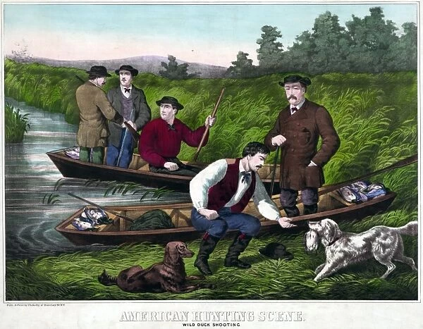 DUCK HUNTING, c1859. American Hunting Scene - Wild Duck Shooting. Lithograph by Thomas Kelly