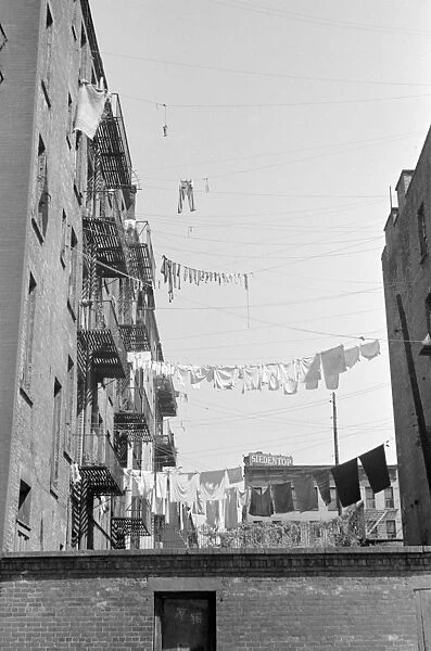 EVANS: NEW YORK, 1938. Clotheslines hung between apartment buildings on 61st Street
