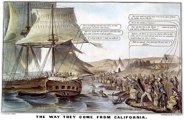 GOLD RUSH CARTOON, 1849. The Way They Come From California