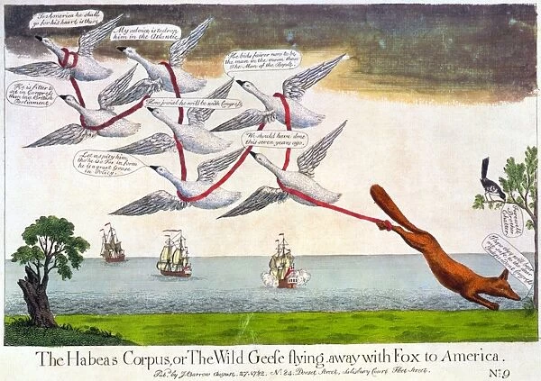 The Habeas Corpus, or The Wild Geese flying away with Fox to America. English cartoon depicting seven geese wrapped with ribbon and carrying a fox, representing Charles James Fox, over the Atlantic Ocean to America, 1782