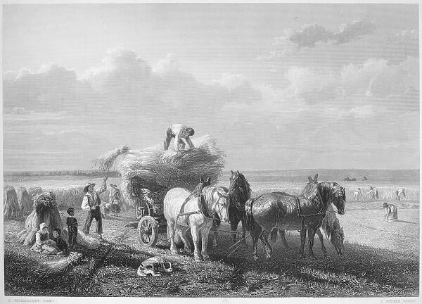 HARVESTING, 19th CENTURY. Steel engraving, 19th century, after the Belgian painter Charles Philogene Tschaggeny