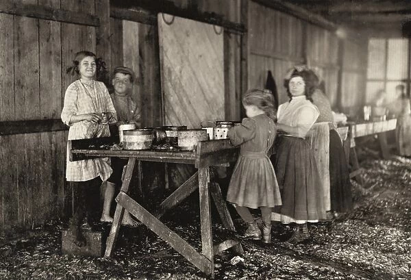 HINE: CHILD LABOR, 1911. A group of shrimp pickers in the Peerless Oyster Co