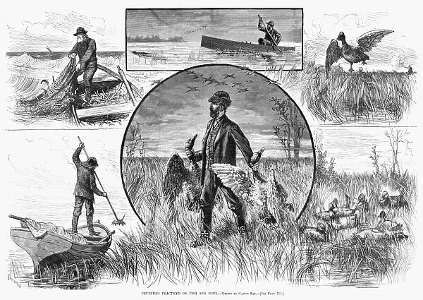 HUNTING: CRUELTY, 1880. Cruelties Practiced on Fish and Fowl
