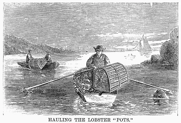 LOBSTER FISHING, 1868. Hauling the lobster pots. Wood engraving, 1868