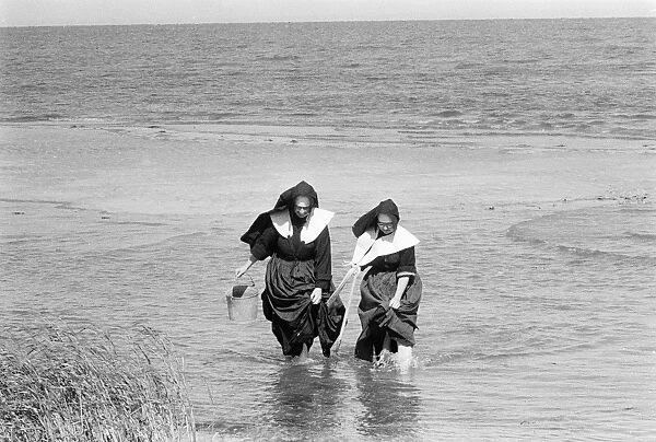 LONG ISLAND: CLAMMING, 1957. Two nuns in habits, clam digging in the water off of Long Island