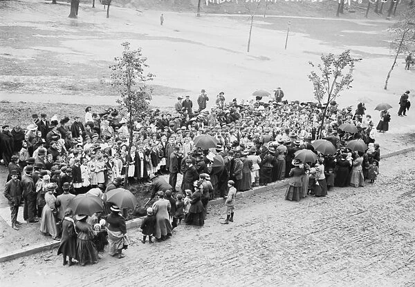 NEW YORK: ARBOR DAY, 1908. Planting trees on Arbor Day at a New York City public school
