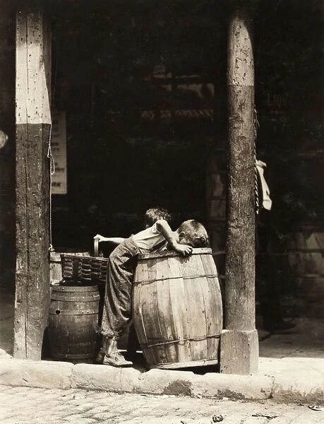 NEW YORK: POVERTY, 1910. Two brothers picking discarded fruit out of barrels at