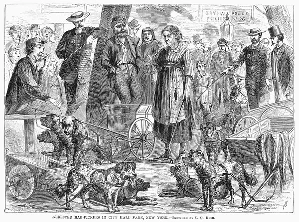NEW YORK: RAG-PICKERS. Rag-pickers who have been placed under arrest gathered in City Hall Park, New York. Wood engraving, 1867