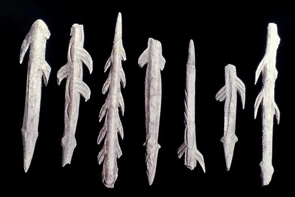 PALEOLITHIC HARPOONS of bone, ivory and antler. Magdalenian, 9000 B. C