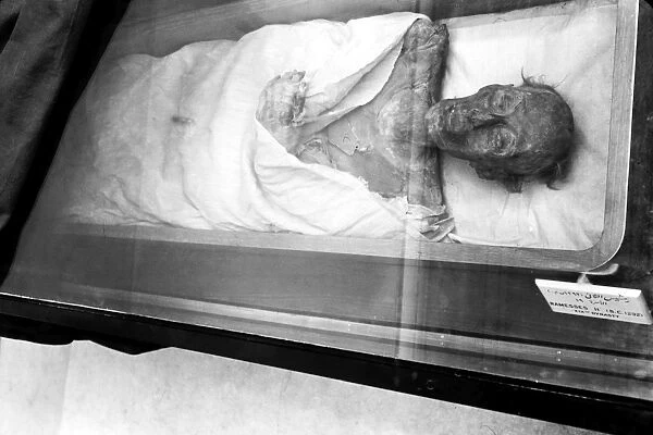 RAMSES II: MUMMY. The mummified body of the 19th Dynasty Egyptian Pharaoh, Ramses II