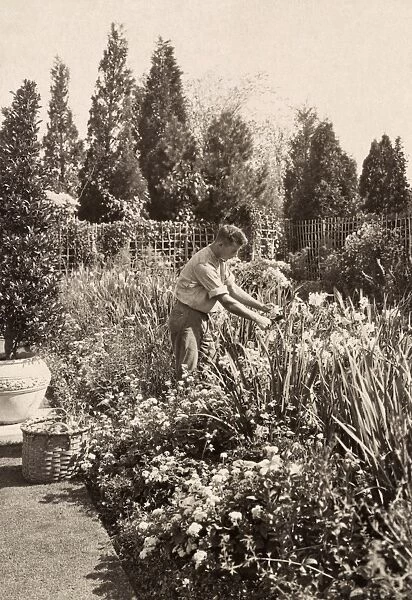 RHODE ISLAND: HOUSE, 1917. A gardener tending flowers of the Beacon Hill House