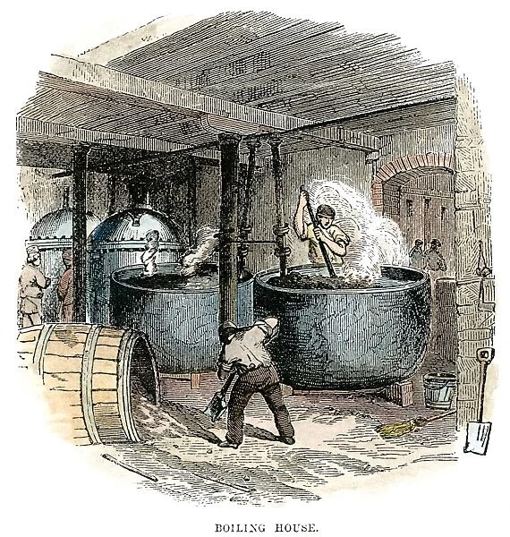SUGAR REFINERY, c1865. The boiling house of a sugar refinery. Wood engraving, English, c1865