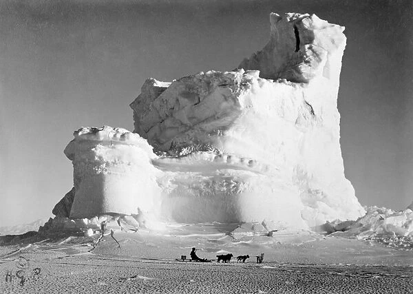 TERRA NOVA EXPEDITION. Man on a dog-sled in front of a castle-shaped iceberg