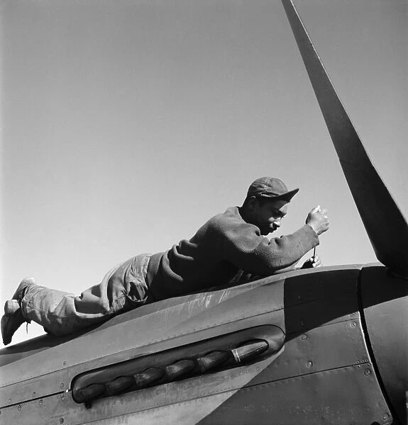 TUSKEGEE AIRMAN, 1945. Crew chief Marcellus Smith of the Tuskegee Airmen 100th Fighting Squadron, working on an airplane at Ramitelli Airfield in Italy. Photograph by Toni Frissell, March 1945