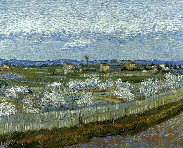 VAN GOGH: PEACH TREE, 1889. Peach Trees in Blossom. Oil on canvas, 1889, by Vincent Van Gogh
