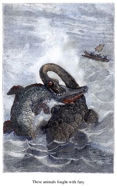 VERNE: JOURNEY. An ichthyosaurus and plesiosaurus in mortal combat. Eood engraving after a drawing by Edouard Riou from a 19th century edition of Jules Vernes Journey to the Center of the Earth