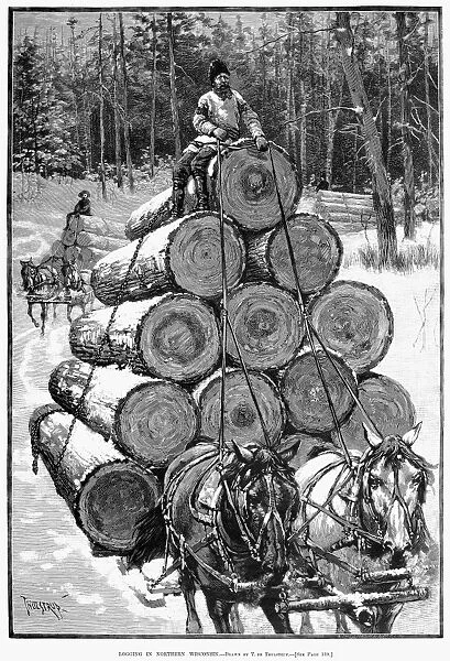 WISCONSIN: LUMBERING, 1885. Logging in Northern Wisconsin. Wood engraving, American, after Thure de Thulstrup, 1885