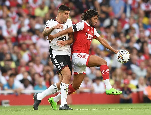 Arsenal vs Fulham: Elneny vs Mitrovic Clash in Premier League Showdown (2022-23)