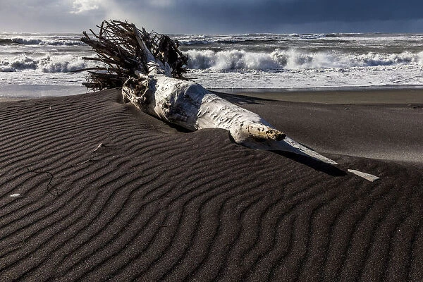A sea-borne log on the beach at Hokitika in West Coast, New Zealand