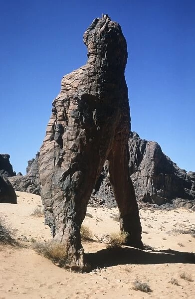 Algeria, Sahara desert, Tassili-n-Ajjer, eroded rocks