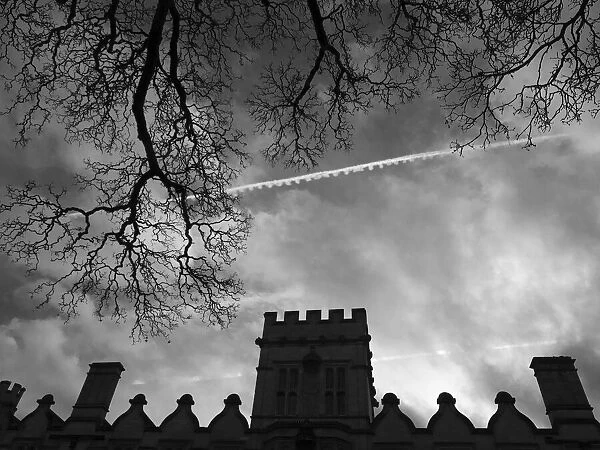 Bare tree and facade of University College, Oxford, on a winters day bw