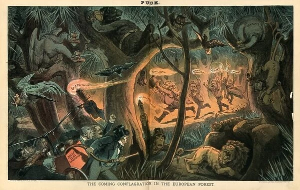 Coming Conflagration in European Forest, 1883