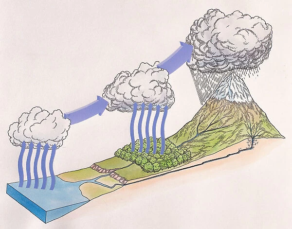 Diagram showing water cycle of rain and snow; evaporating sea water forming cloud, trees releasing vapour into clou, water droplets fall from cloud over cooler high ground, rainwater joins rivers and streams and flows back down to sea