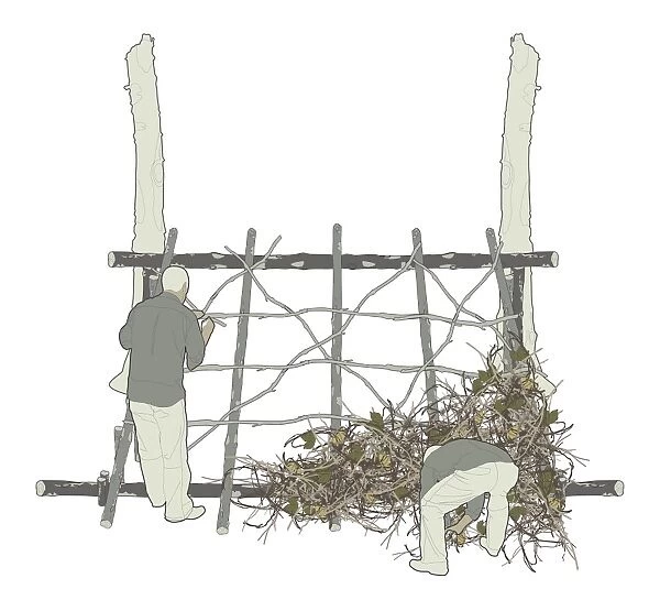 Digital illustration of two men building lean-to and covering the frame with sticks