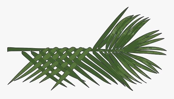 Digital illustration of thatched leaves
