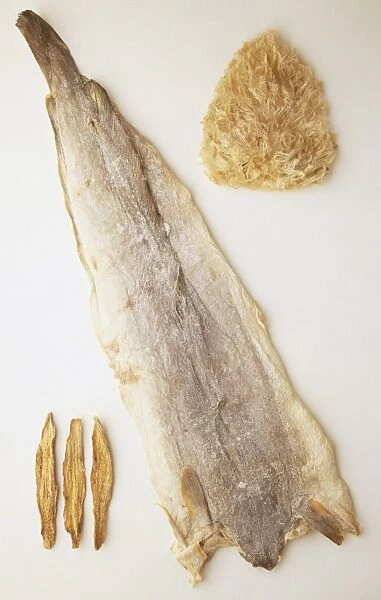 Dried fish, Bombay Duck or Bombil, Bacalao, Sharks Fin, close up