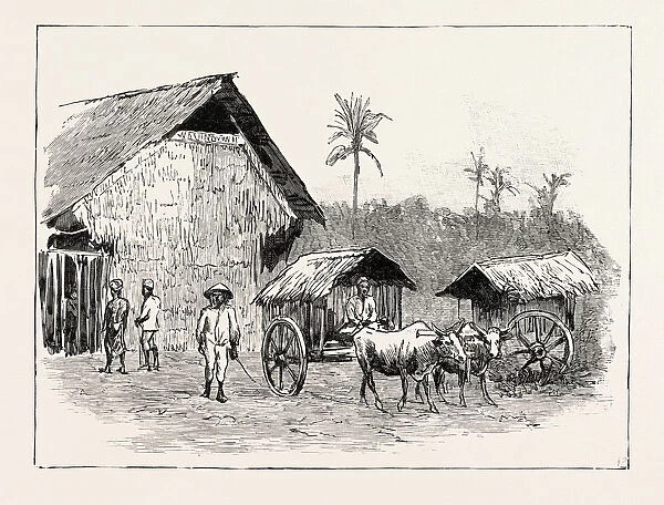 Drying Sheds For Tobacco
