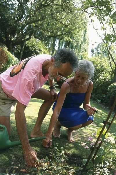 Elderly couple working in a garden