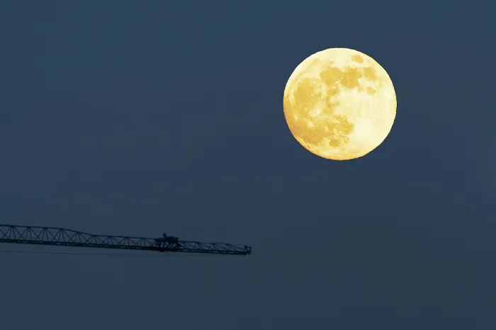 Framed Print : Moon and Crane Print, a photograph of a crane in the Lombardy region Framed Print : Moon and Crane Print, a photograph of a crane in the Lombardy region