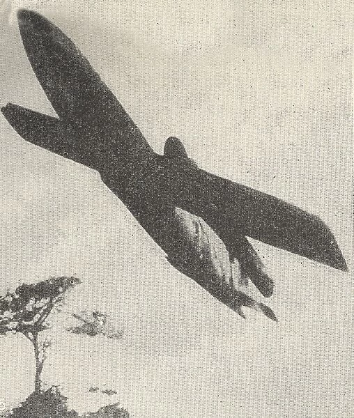 German V2 Flying bomb