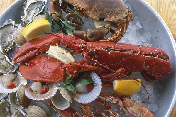 Great Britain, Scotland, Argyll, Cairndow, fresh crab, lobster, oysters in shell halves