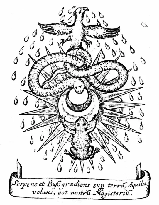 Framed Print : Alchemical Print: Toad and Serpent Framed Print : Alchemical Print: Toad and Serpent