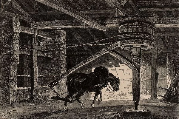 A horse-whim of horse-gin. Such a device was used to raise coal from the bottom of a mine